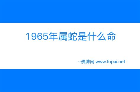 1965年是什么命